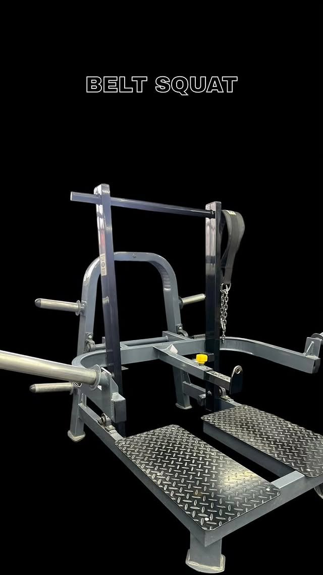 Belt Squat